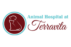 Animal Hospital At Terravita